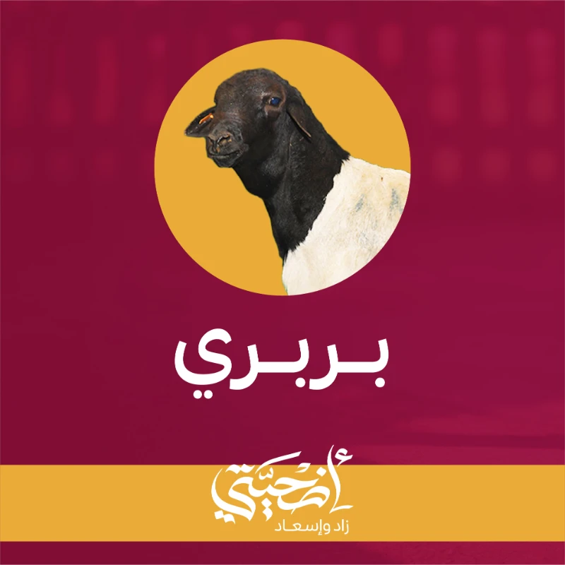 أضحيتي زاد وإسعادشعيرة نعظمها وعطا يسعد المحتاجينبإشراف جمعية الزادفي مشروع أضحيتي زاد وإسعاد تسعى جمعية الزاد إلى تعظيم شعائر الله وتعزيز قيم التكافل من خلال تسهيل أدا شعيرة الأضحية وتوزيعها على المستحقينلتكون أضحيتك زادا مباركا للأسر وبابا لإدخال السرور عليهم في أيام العيدكيف ننفذ أضحيتكنقوم بتنفيذ الأضحية كاملة بدا من التوكيل وحتى التوزيع وفق الخطوات التاليةاختيار الأضحية بعناية من قبل مختصين شرعيين وصحيينذبحها في الوقت الشرعي لدى جهات مرخصةتوزيعها على الأسر المحتاجة داخل منطقة القصيم بإشراف ميداني من فريق الجمعية