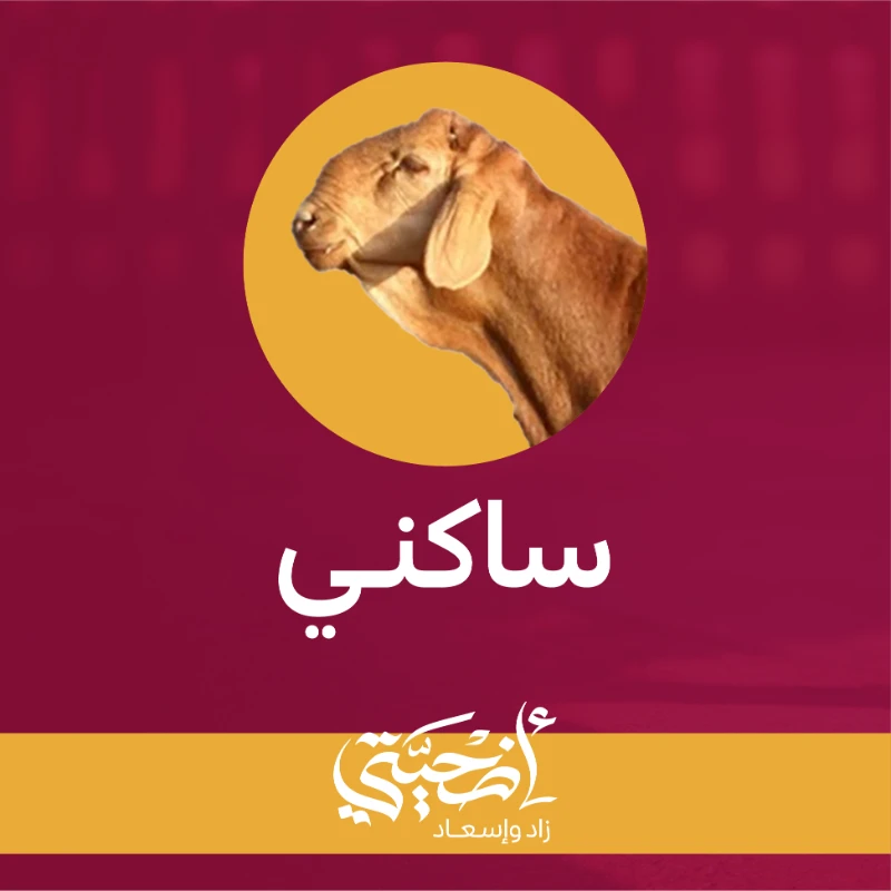 أضحيتي زاد وإسعادشعيرة نعظمها وعطا يسعد المحتاجينبإشراف جمعية الزادفي مشروع أضحيتي زاد وإسعاد تسعى جمعية الزاد إلى تعظيم شعائر الله وتعزيز قيم التكافل من خلال تسهيل أدا شعيرة الأضحية وتوزيعها على المستحقينلتكون أضحيتك زادا مباركا للأسر وبابا لإدخال السرور عليهم في أيام العيدكيف ننفذ أضحيتكنقوم بتنفيذ الأضحية كاملة بدا من التوكيل وحتى التوزيع وفق الخطوات التاليةاختيار الأضحية بعناية من قبل مختصين شرعيين وصحيينذبحها في الوقت الشرعي لدى جهات مرخصةتوزيعها على الأسر المحتاجة داخل منطقة القصيم بإشراف ميداني من فريق الجمعية